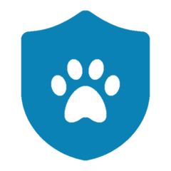 pet-insurance (1)